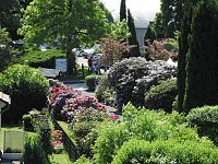 Bild: 22. Rhododendronfest in S&uuml;lzhayn