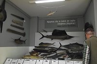 Auf Entdeckungstour in Swinemünde Bild: Auf Entdeckungstour in Swinemünde