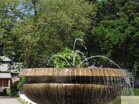 Lustwandeln im Park von Oranienbaum Bild: Lustwandeln im Park von Oranienbaum