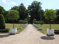 Lustwandeln im Park von Oranienbaum Bild: Lustwandeln im Park von Oranienbaum