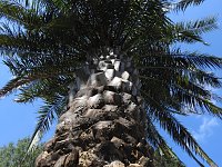 Lustwandeln im Park von Oranienbaum Bild: Lustwandeln im Park von Oranienbaum