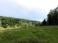 Peter Blei unterwegs im Harz Bild: Peter Blei unterwegs im Harz