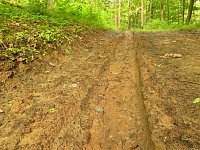 Bild: Tiefe Spuren im Waldweg