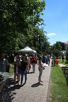 Bild: 49. Rolandsfest - der Samstag