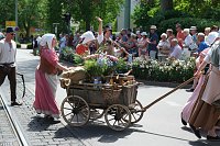 Festumzug zum 1090. Geburtstag der Rolandstadt Bild: Festumzug zum 1090. Geburtstag der Rolandstadt