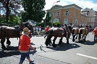 Bild: Festumzug zum 1090. Geburtstag der Rolandstadt