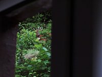 Bild: Tierischer Besuch