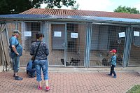 1. Sommerfest im Nordhäuser Tierheim Bild: 1. Sommerfest im Nordhäuser Tierheim