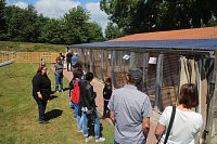 1. Sommerfest im Nordhäuser Tierheim Bild: 1. Sommerfest im Nordhäuser Tierheim