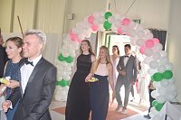 Die RABItsverlassen den Bau Bild: Die RABItsverlassen den Bau