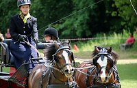 Gefahren und geritten Bild: Gefahren und geritten