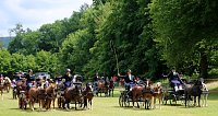 Gefahren und geritten Bild: Gefahren und geritten