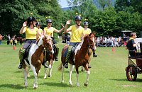 Gefahren und geritten Bild: Gefahren und geritten