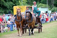 Gefahren und geritten Bild: Gefahren und geritten