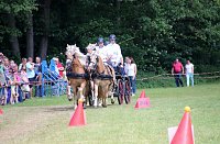 Gefahren und geritten Bild: Gefahren und geritten