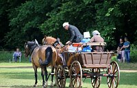 Gefahren und geritten Bild: Gefahren und geritten