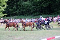 Gefahren und geritten Bild: Gefahren und geritten