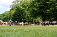 Gefahren und geritten Bild: Gefahren und geritten