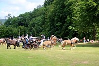 Gefahren und geritten Bild: Gefahren und geritten