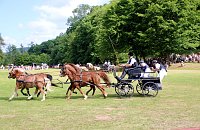 Gefahren und geritten Bild: Gefahren und geritten
