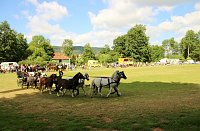 Gefahren und geritten Bild: Gefahren und geritten