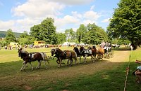 Gefahren und geritten Bild: Gefahren und geritten