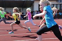 Bild: Kreisjugendspielen in der Leichtathletik
