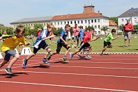 Bild: Kreisjugendspielen in der Leichtathletik