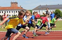 Bild: Kreisjugendspielen in der Leichtathletik