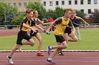 Kreisjugendspielen in der Leichtathletik Bild: Kreisjugendspielen in der Leichtathletik
