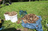 Feldversuch im Park Hohenrode - Wie wurde vor 2.400 Jahren Eisen gewonnen? Bild: Feldversuch im Park Hohenrode - Wie wurde vor 2.400 Jahren Eisen gewonnen?