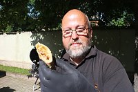 Bild: Sommerfest an der Nordh&auml;user Volkshochschule