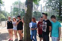 Teich, Zäune, Bäume - kurz vor den Ferien hat man sich am Förderzentrum Pestalozzi nochmal richtig ins Zeug gelegt Bild: Teich, Zäune, Bäume - kurz vor den Ferien hat man sich am Förderzentrum Pestalozzi nochmal richtig ins Zeug gelegt