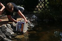 Teich, Zäune, Bäume - kurz vor den Ferien hat man sich am Förderzentrum Pestalozzi nochmal richtig ins Zeug gelegt Bild: Teich, Zäune, Bäume - kurz vor den Ferien hat man sich am Förderzentrum Pestalozzi nochmal richtig ins Zeug gelegt