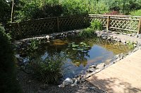Teich, Zäune, Bäume - kurz vor den Ferien hat man sich am Förderzentrum Pestalozzi nochmal richtig ins Zeug gelegt Bild: Teich, Zäune, Bäume - kurz vor den Ferien hat man sich am Förderzentrum Pestalozzi nochmal richtig ins Zeug gelegt