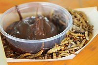 StreetFood-Festival Bild: StreetFood-Festival