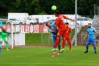 2:2 im Testspiel gegen Zwickau Bild: 2:2 im Testspiel gegen Zwickau