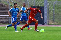 2:2 im Testspiel gegen Zwickau Bild: 2:2 im Testspiel gegen Zwickau