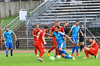 2:2 im Testspiel gegen Zwickau Bild: 2:2 im Testspiel gegen Zwickau