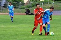 2:2 im Testspiel gegen Zwickau Bild: 2:2 im Testspiel gegen Zwickau