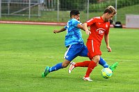 2:2 im Testspiel gegen Zwickau Bild: 2:2 im Testspiel gegen Zwickau