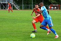 2:2 im Testspiel gegen Zwickau Bild: 2:2 im Testspiel gegen Zwickau