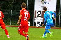 2:2 im Testspiel gegen Zwickau Bild: 2:2 im Testspiel gegen Zwickau