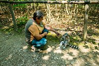 Bild: Besuch bei den Affen am Strau&szlig;berg
