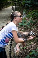 Bild: Besuch bei den Affen am Strau&szlig;berg