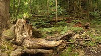 Sonntagswanderung bei Thale Bild: Sonntagswanderung bei Thale