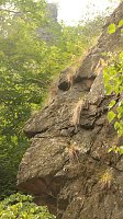 Sonntagswanderung bei Thale Bild: Sonntagswanderung bei Thale
