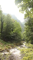 Sonntagswanderung bei Thale Bild: Sonntagswanderung bei Thale