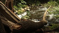 Sonntagswanderung bei Thale Bild: Sonntagswanderung bei Thale