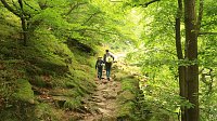 Sonntagswanderung bei Thale Bild: Sonntagswanderung bei Thale